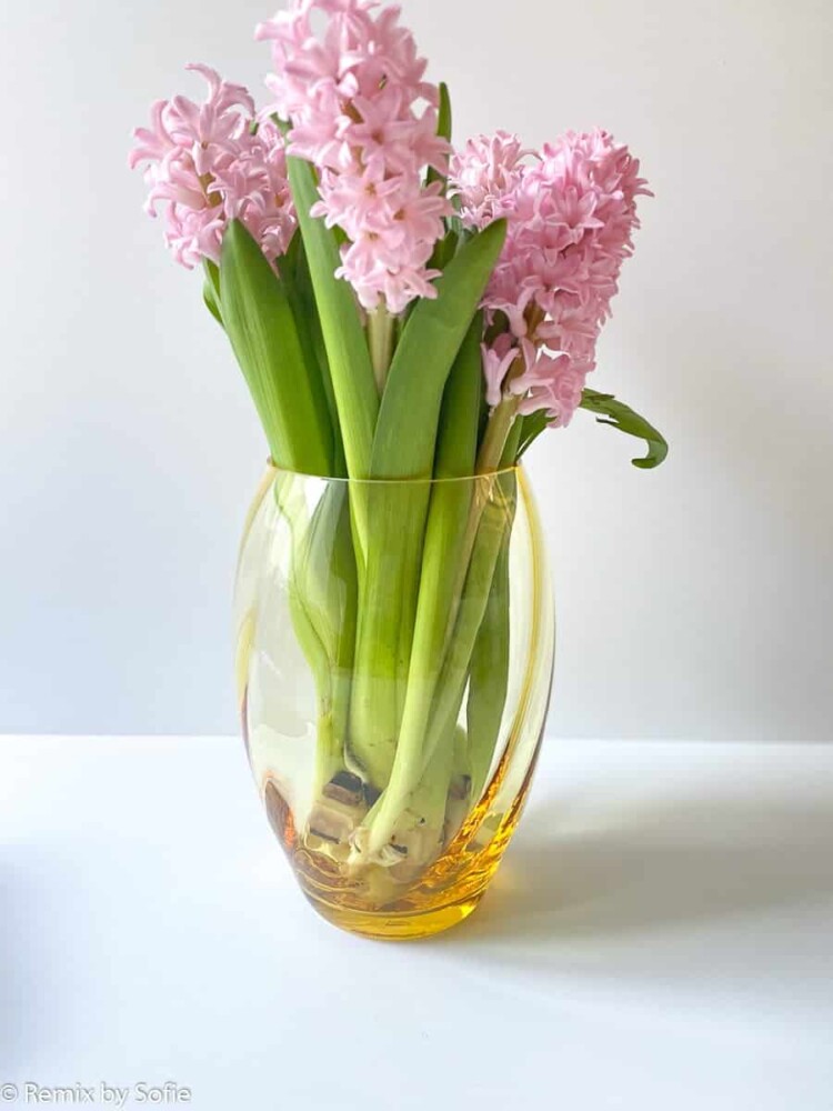 Remix von Sofia, Anna von Lipa, Anna von Lipa Vase, Anna von Lipa Glas, Mundglas, Ellipse Vase, Blumenvase, Glasmalerei,