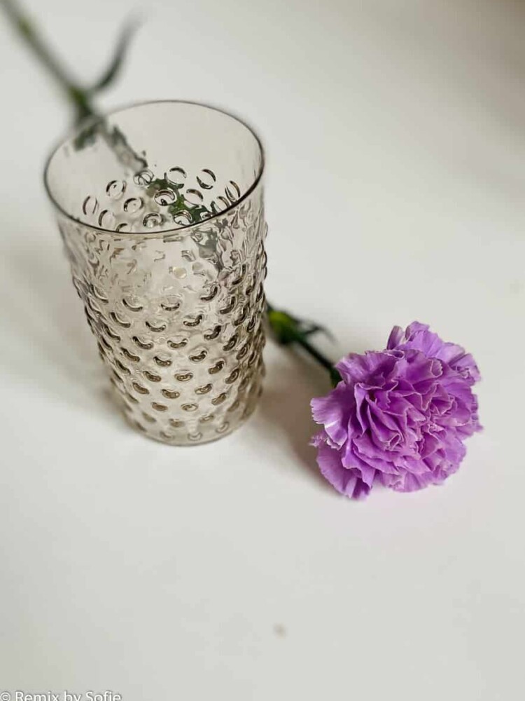 anna von lipa Igelglas, anna von lipa, anna von lipa Igelglas, Igelglas, Wasserglas, Trinkglas, Glas in Igelglas, anna von lipa Igelglas, Igelglas, Wasserglas, Trinkglas, Igelglas Glas