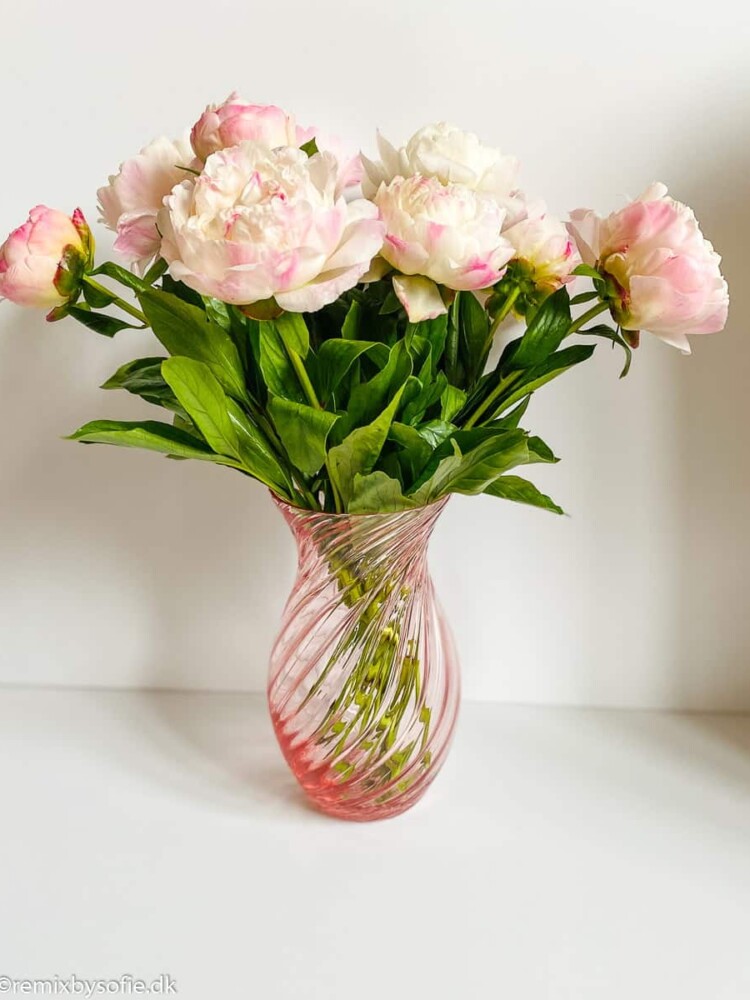 Anna von Lipa wirbeln Vase oslo rosa rosa
