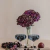 Champagnerschale, Champagnerglas, Wiesenspektrum, Champagnerglas, Champagnerschale, Champagnergläser, Remix von Sofie, Partygläser, Champagnerschalen.