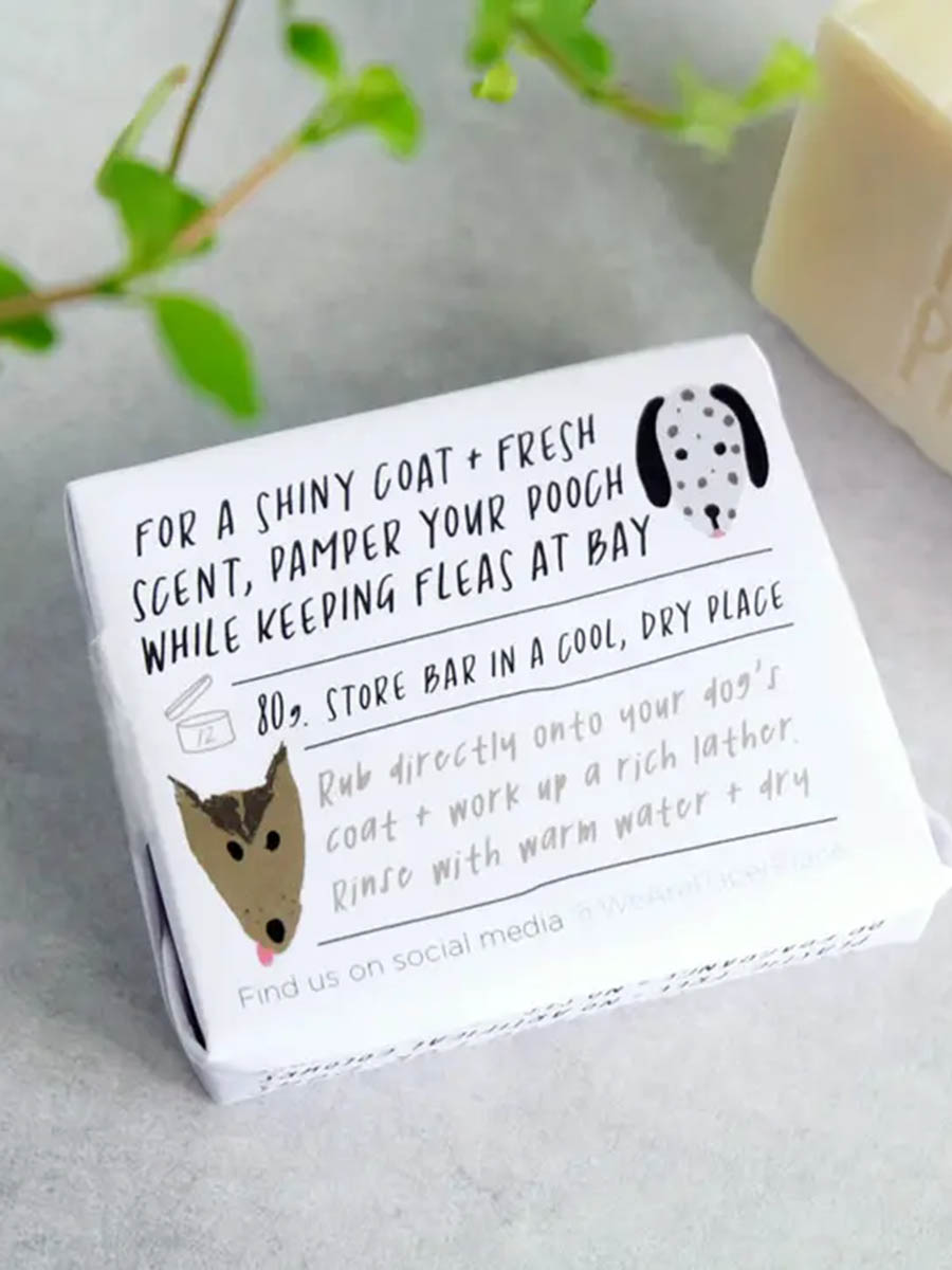 Shampoo für Hunde