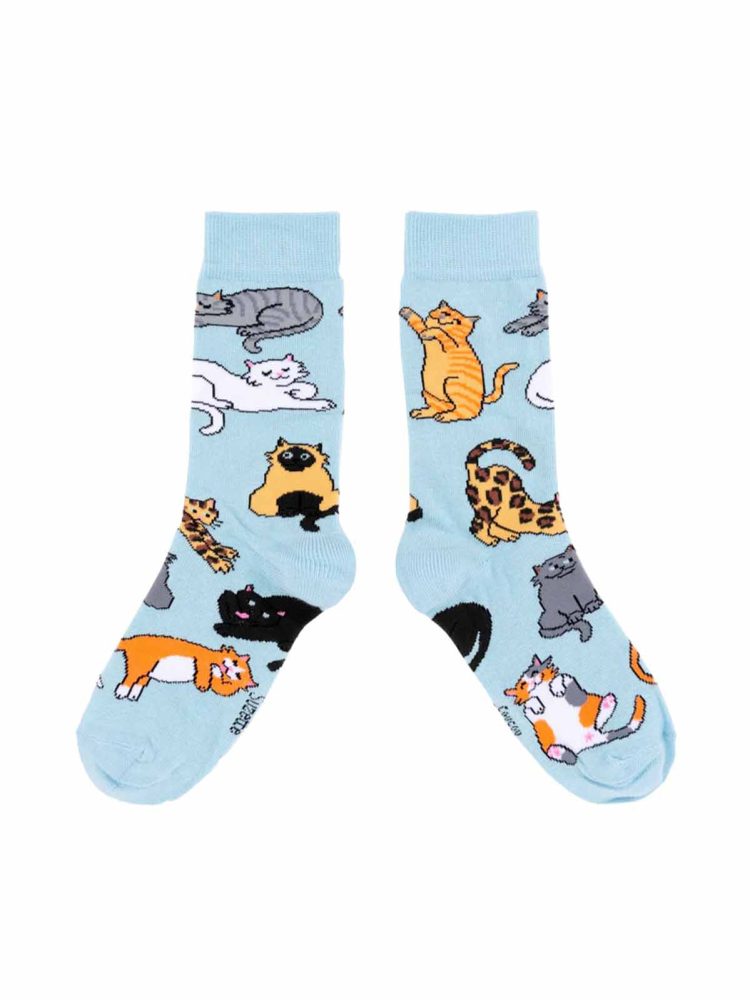 Baumwollsocken in hellblau mit Katzen - Coucou Suzette