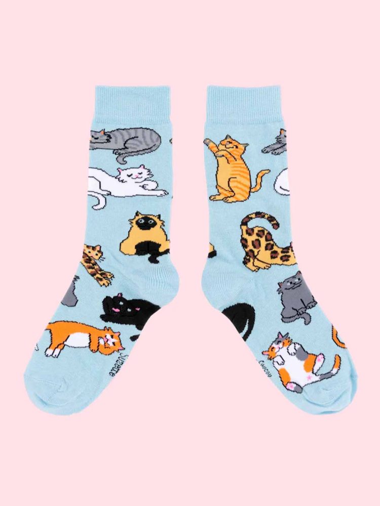 Baumwollsocken in hellblau mit Katzen - Coucou Suzette
