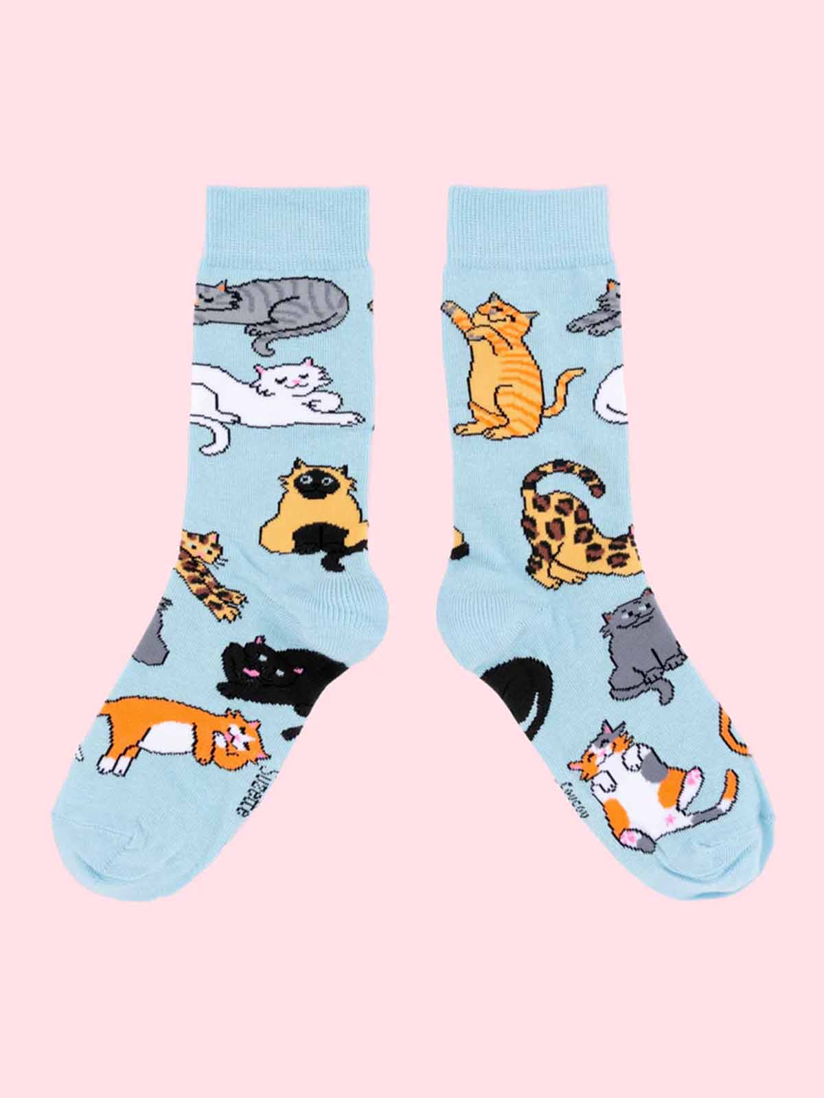Baumwollsocken in hellblau mit Katzen - Coucou Suzette