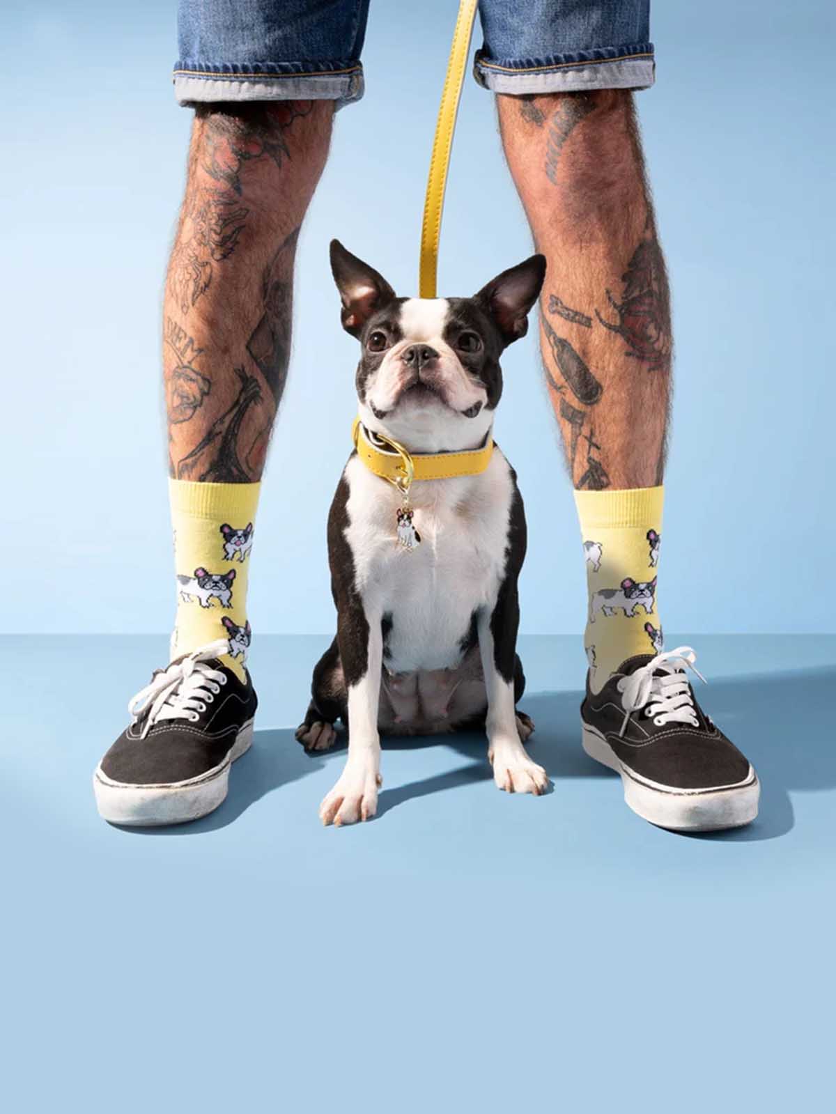 Hellgelbe Socken mit Bulldoggen - Coucou Suzette