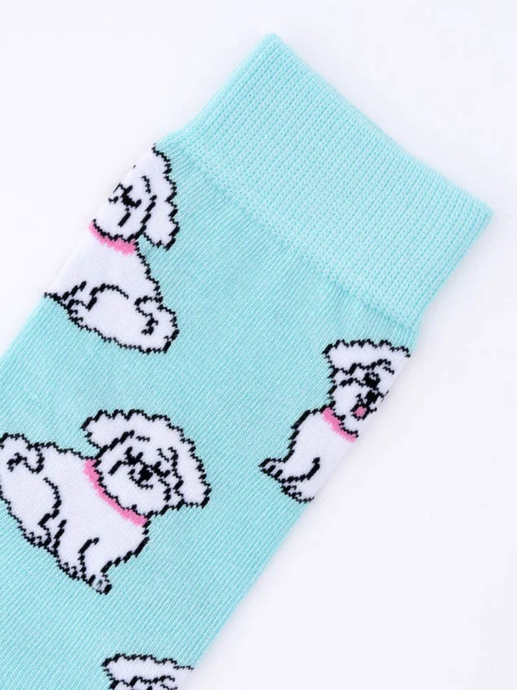 Mintgrün mit Bichon-Strumpf, Strümpfe mit Hunden, Remix von Sofie, Cou-Cou-Suzette, Strümpfe, Strümpfe in Baumwolle, italienische Baumwolle, Strümpfe aus Baumwolle,