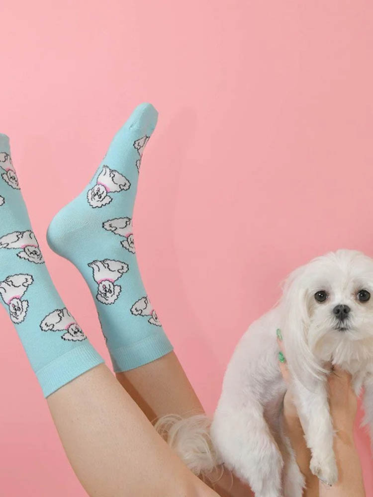 Mintgrün mit Bichon-Strumpf, Strümpfe mit Hunden, Remix von Sofie, Cou-Cou-Suzette, Strümpfe, Strümpfe in Baumwolle, italienische Baumwolle, Strümpfe aus Baumwolle,