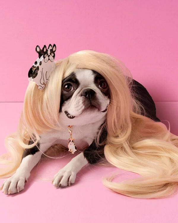 Haarclip mit Hunden, Haarclip mit Bulldogge von cou cou suzette