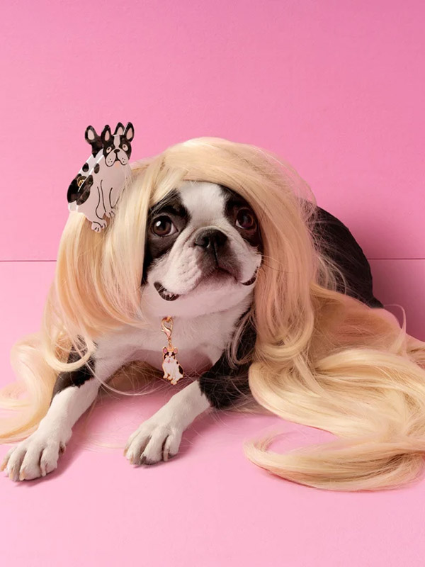 Haarclip mit Hunden, Haarclip mit Bulldogge von cou cou suzette