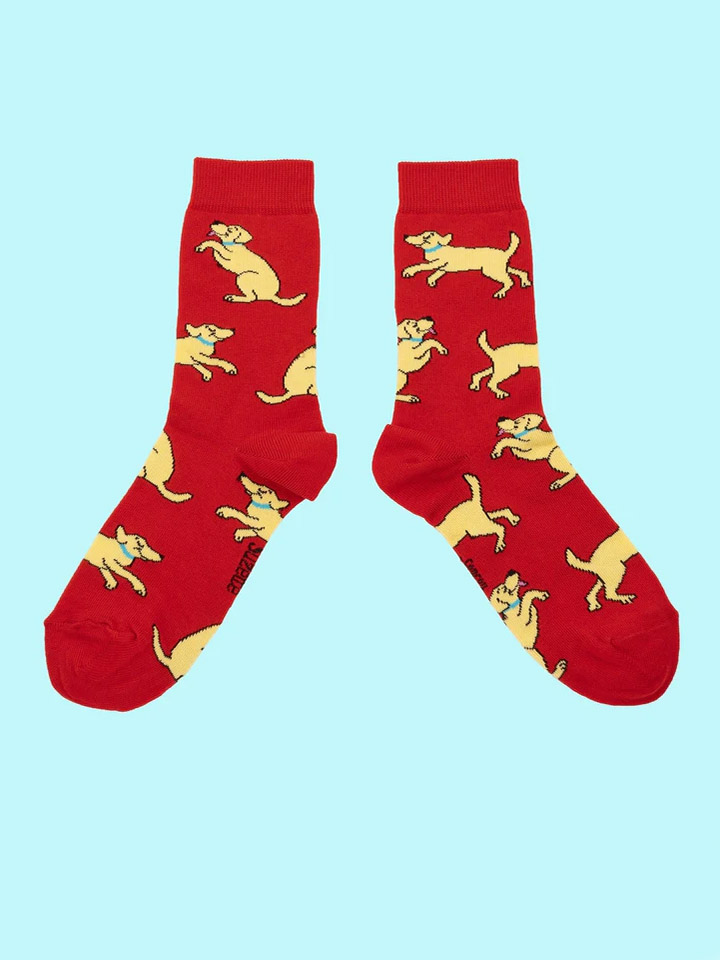 rot und gelb Labrador, Strümpfe mit Hunden, Remix von Sofie, cou cou suzette, Strümpfe, Strümpfe in Baumwolle, italienische Baumwolle, Strümpfe aus Baumwolle,
