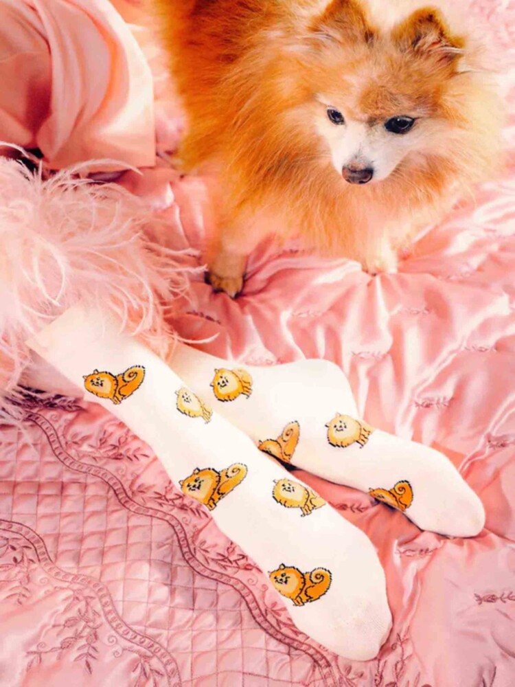 hellgelb mit Spitze, Socken mit Hunden, Remix von Sofie, Cou Cou Suzette, Strümpfe, Strümpfe in Baumwolle, italienische Baumwolle, Strümpfe aus Baumwolle,