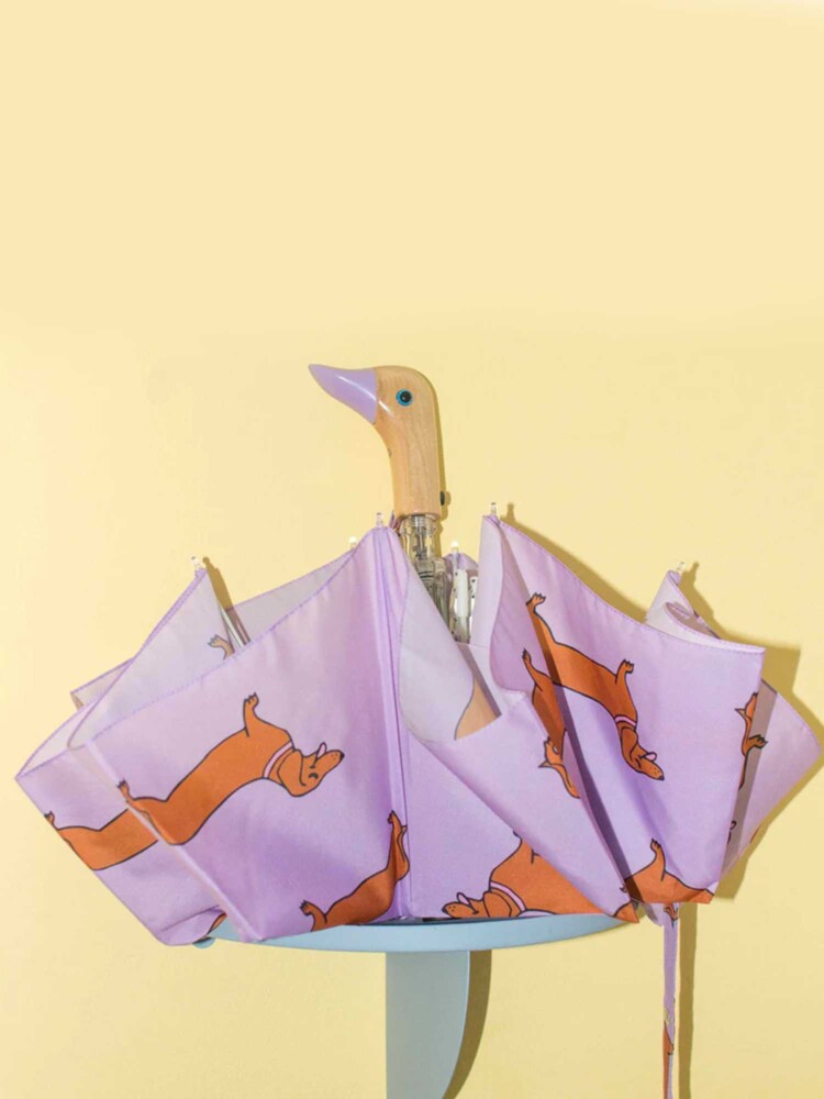 Regenschirm, Cou Cou Cou Suzette Regenschirm in Zusammenarbeit mit original Duckhead, Purple Regenschirm mit Dachshunds.