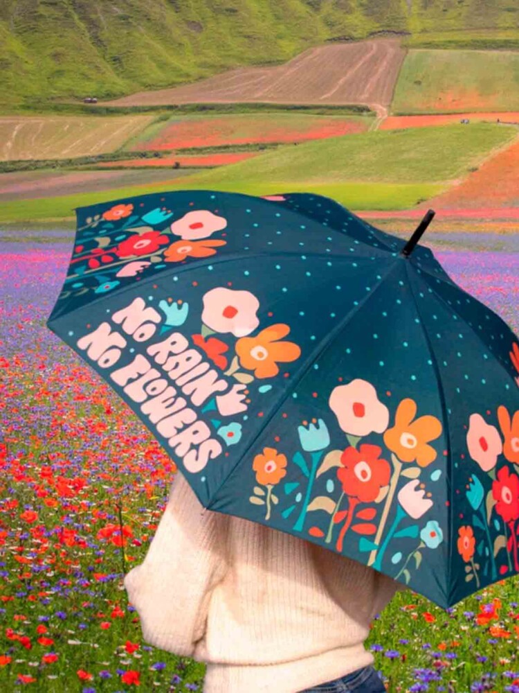 Karton dunkelblau mit Blumen kein Regen - keine Blumen