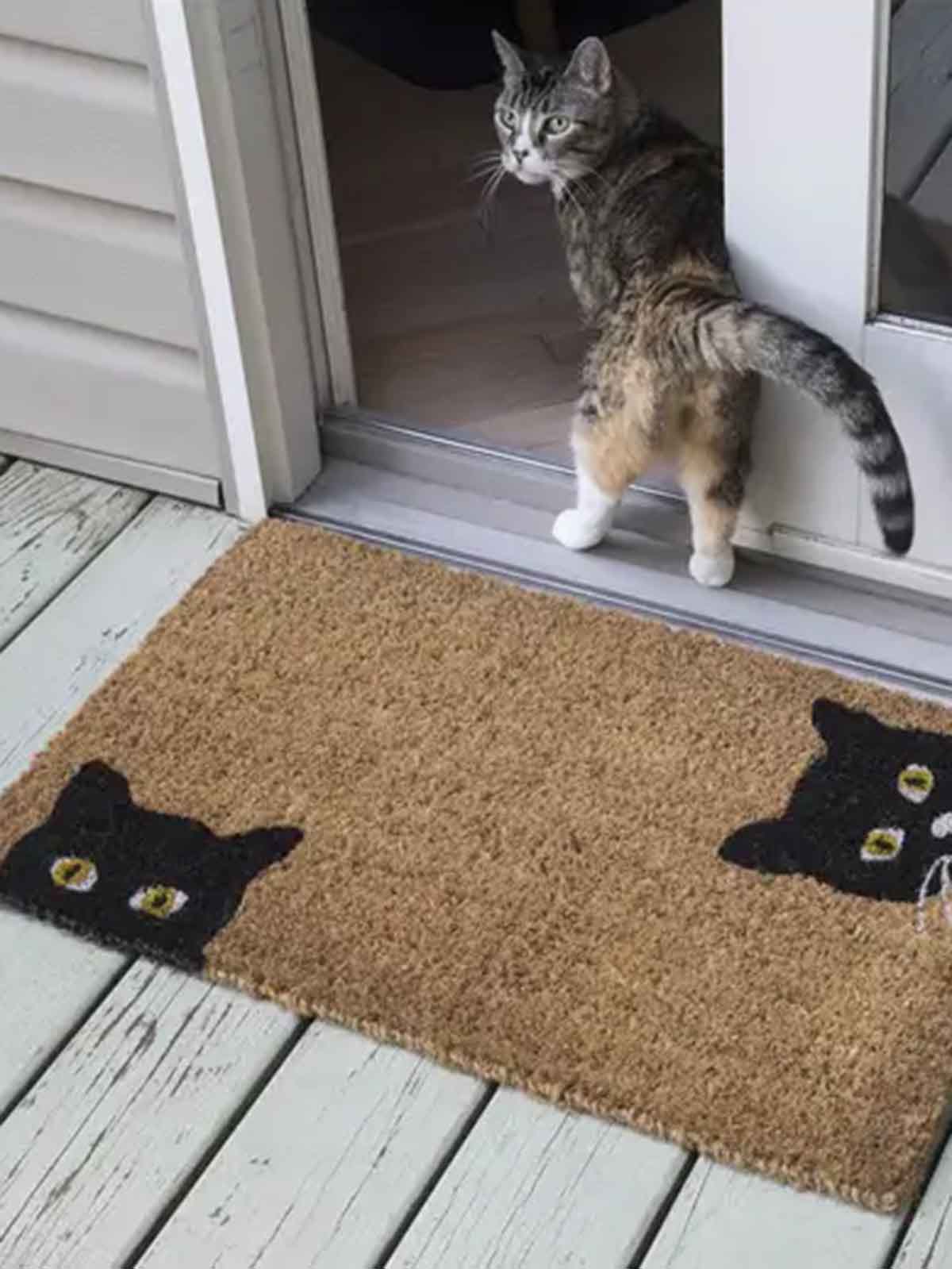 Fußmatte Kokosfaser Remix von Sofia - 2 schwarze Katzen