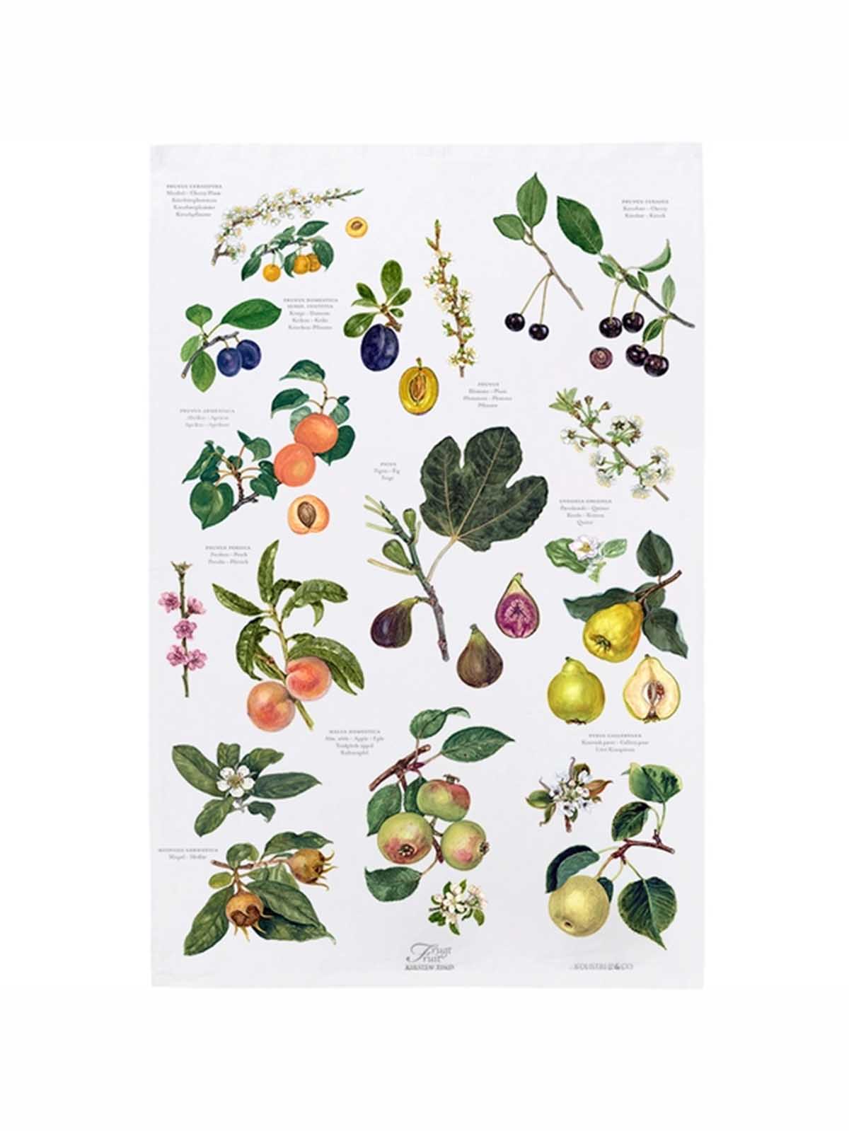Koustrup und Co-Teetuch aus 100% Bio-Baumwolle mit Obst
