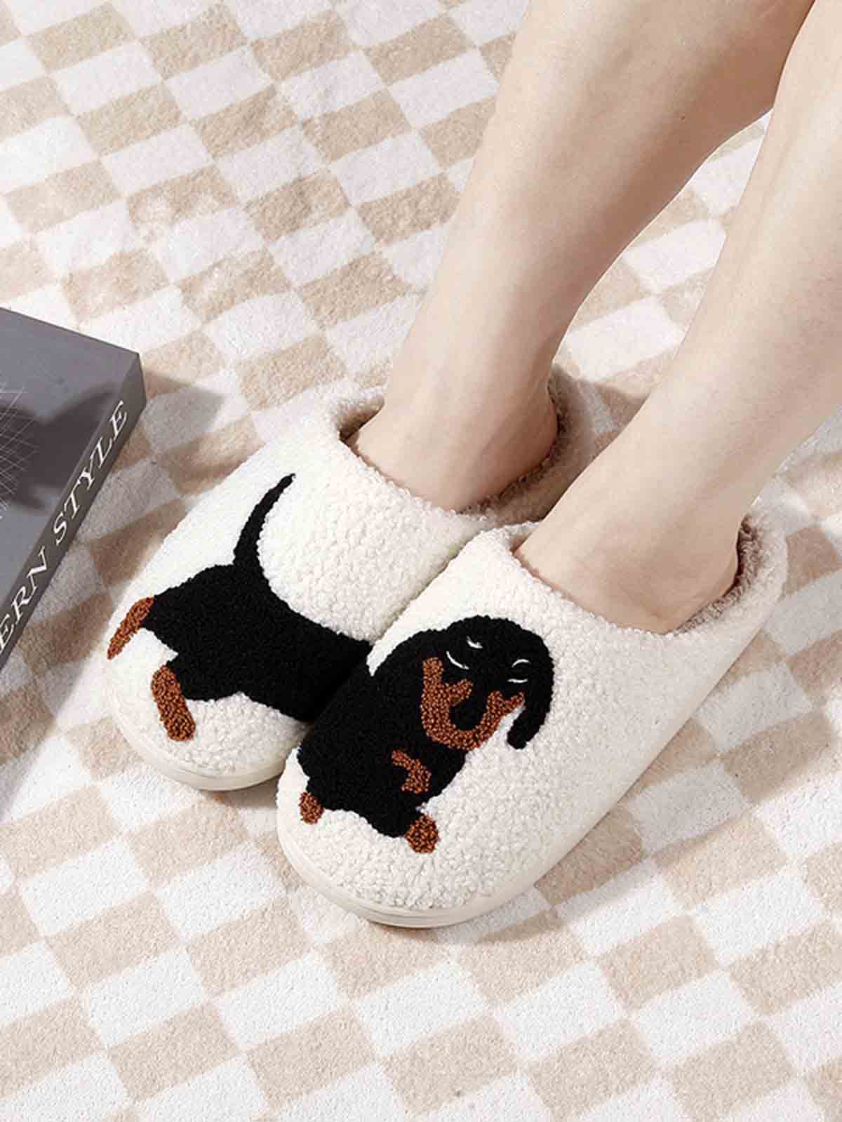 Schuhschuhe dachshund
