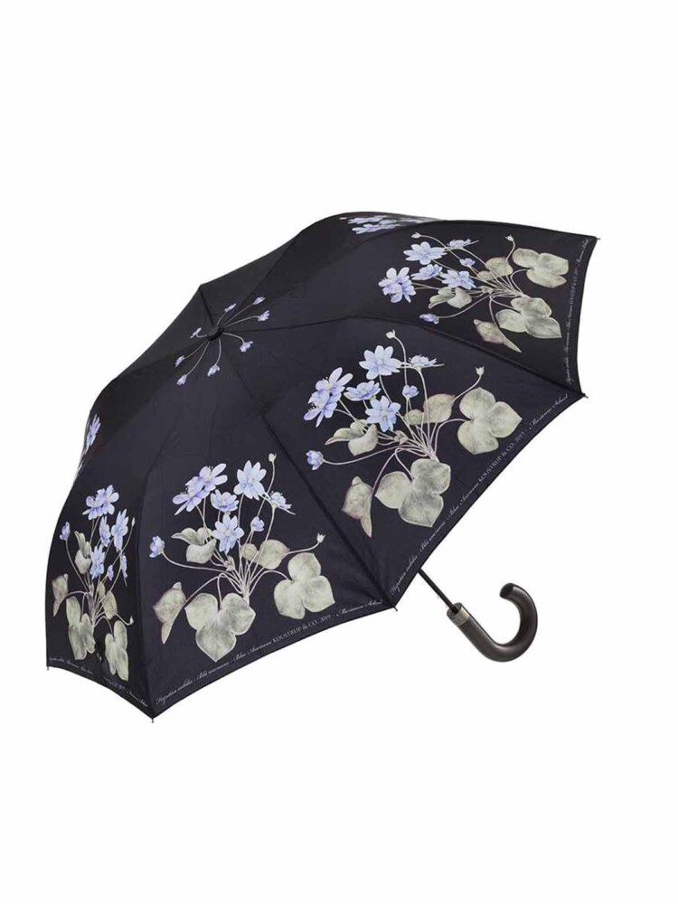 Koustrup und Co-Regenschirm-blaue Anemone