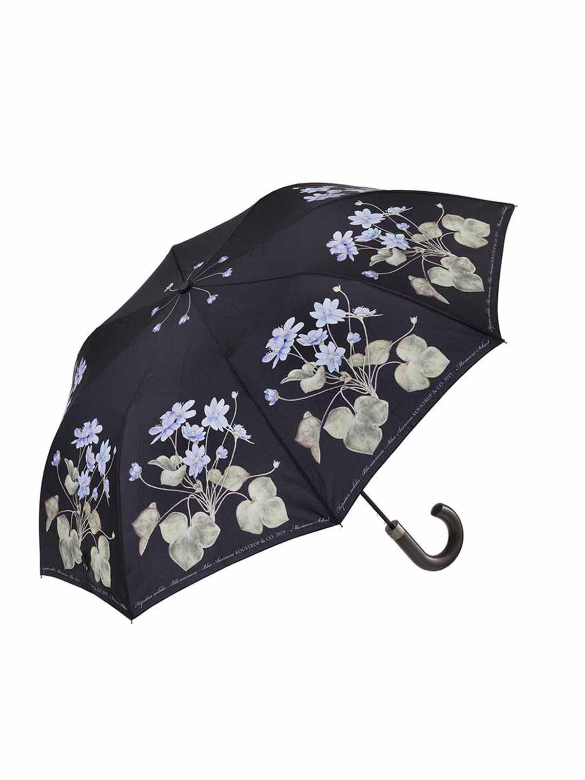 Koustrup und Co-Regenschirm-blaue Anemone
