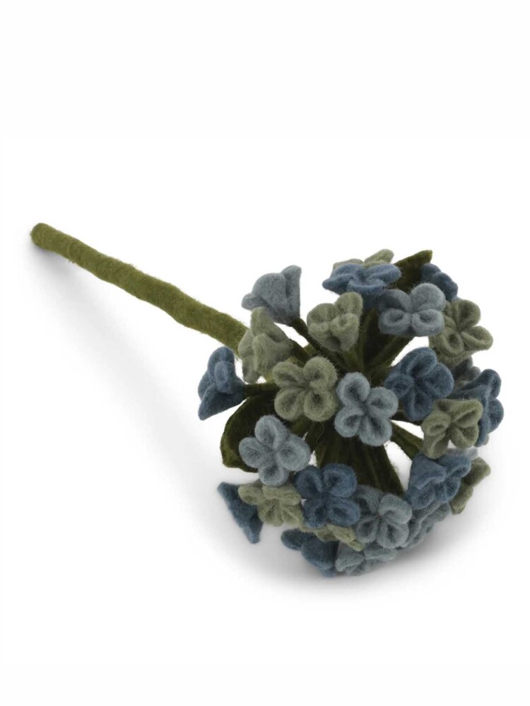 Dawn und Sif große Hydrangea in Blau
