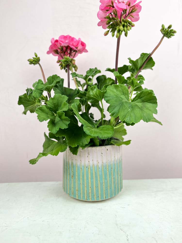 Trine lise Keramik Blumentopf rosa und Minze
