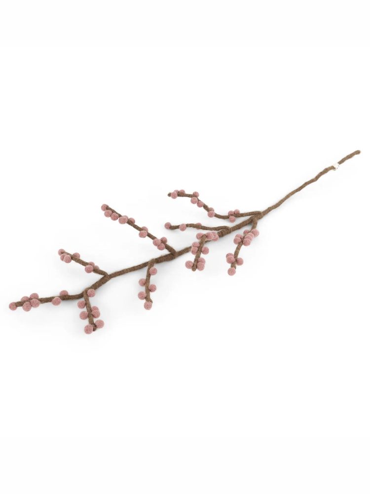 14134 Zweig Brach Rouge Beeren