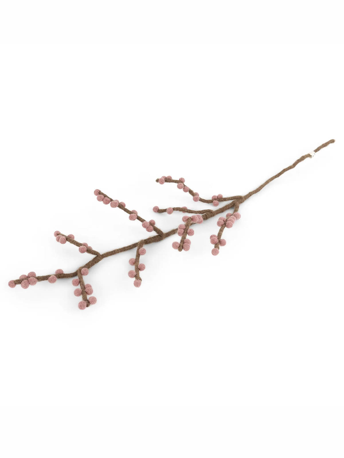 14134 Zweig Brach Rouge Beeren