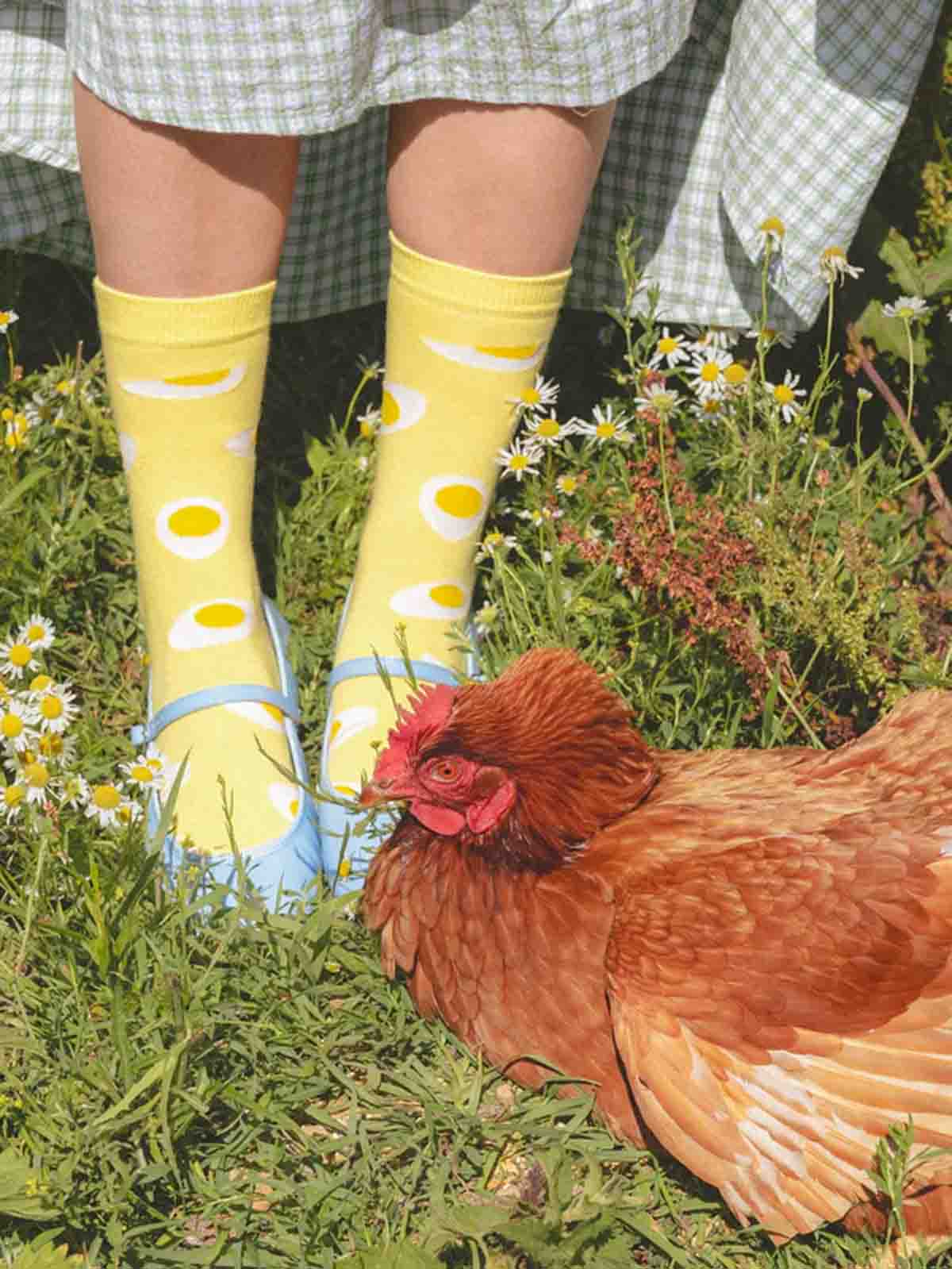 cou cou suzette Socken hellgelb mit Spiegeleien