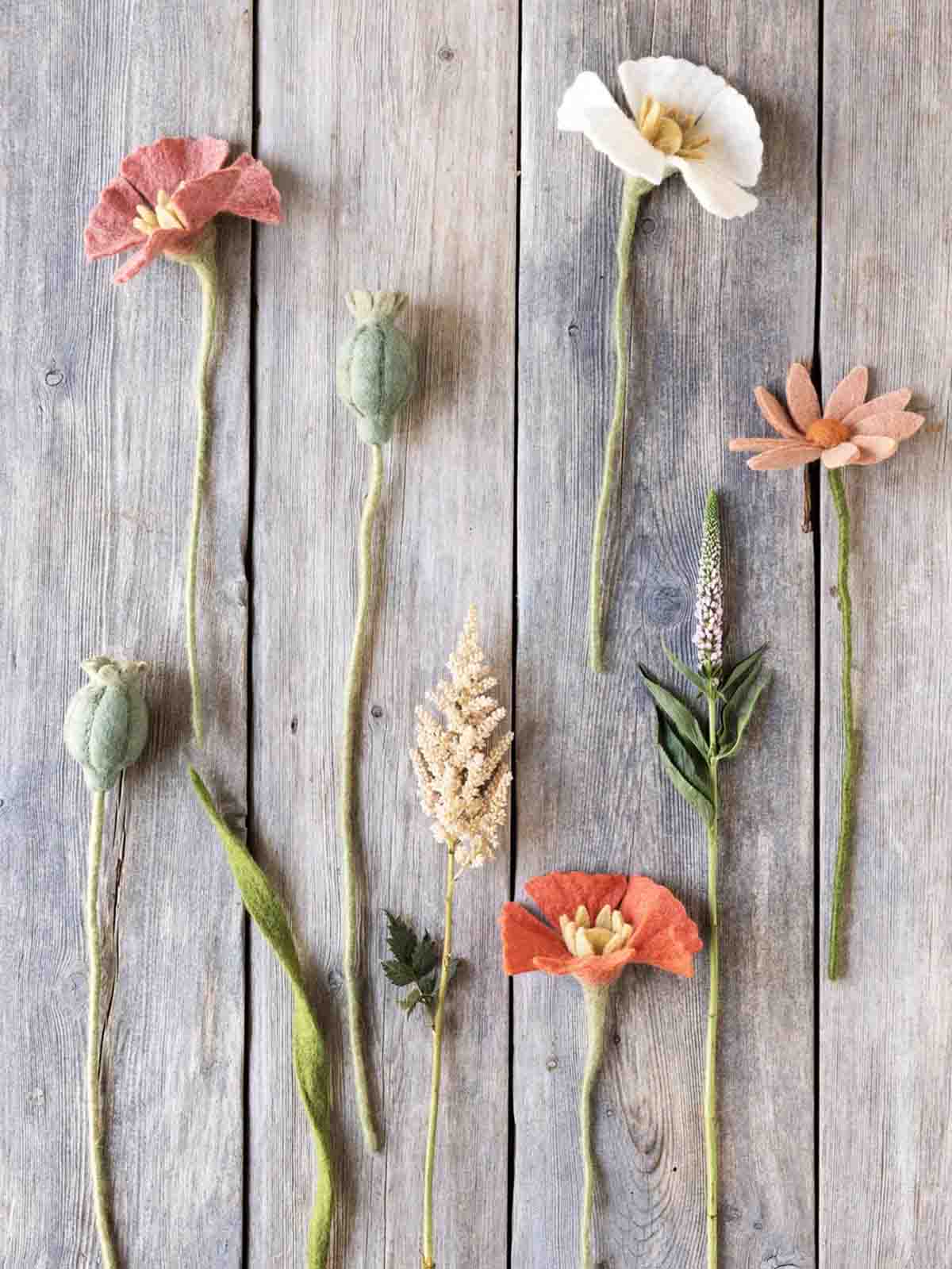 sif-Faltblumen