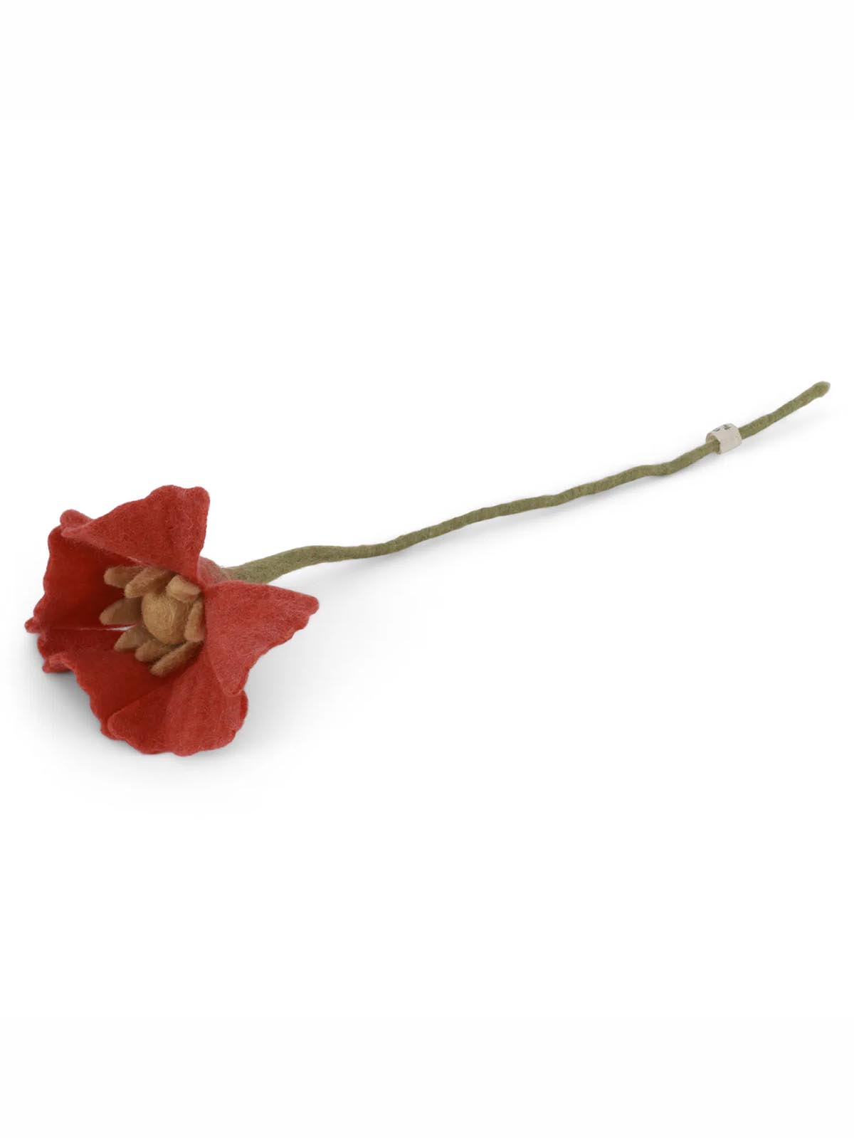 roter Mohn 18416