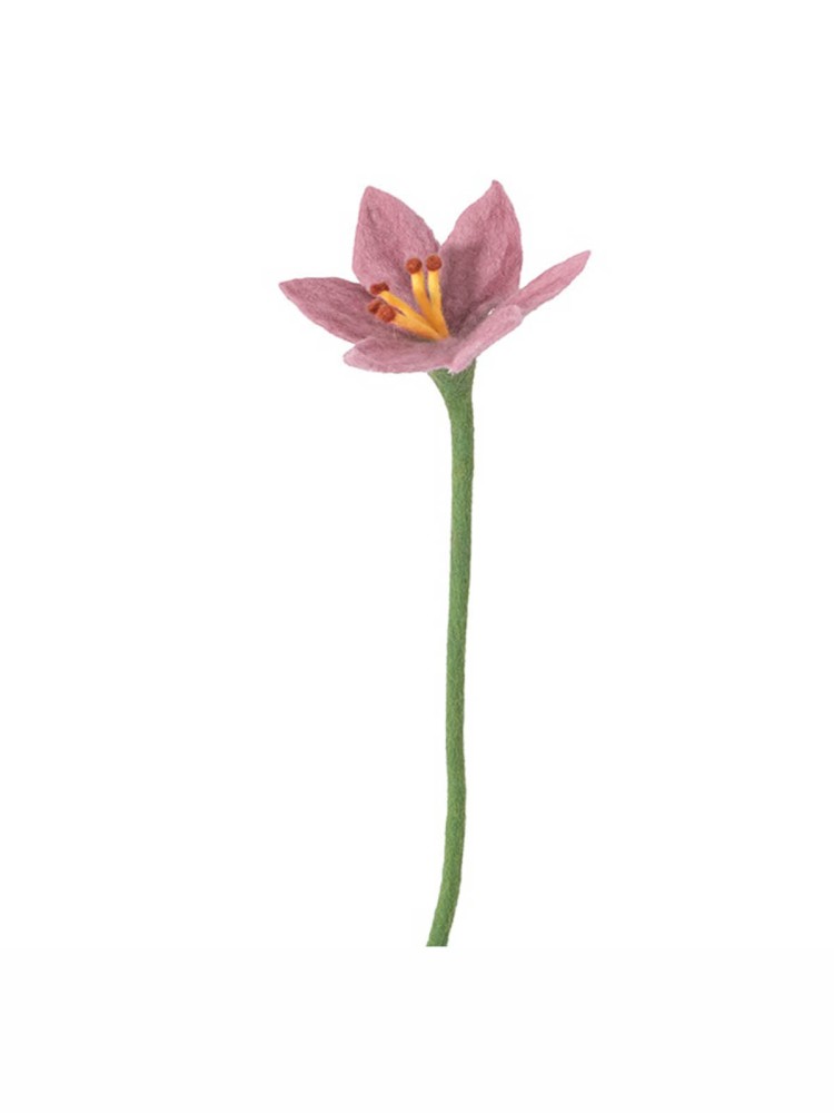 Aveva Filzblüten fairetrade
