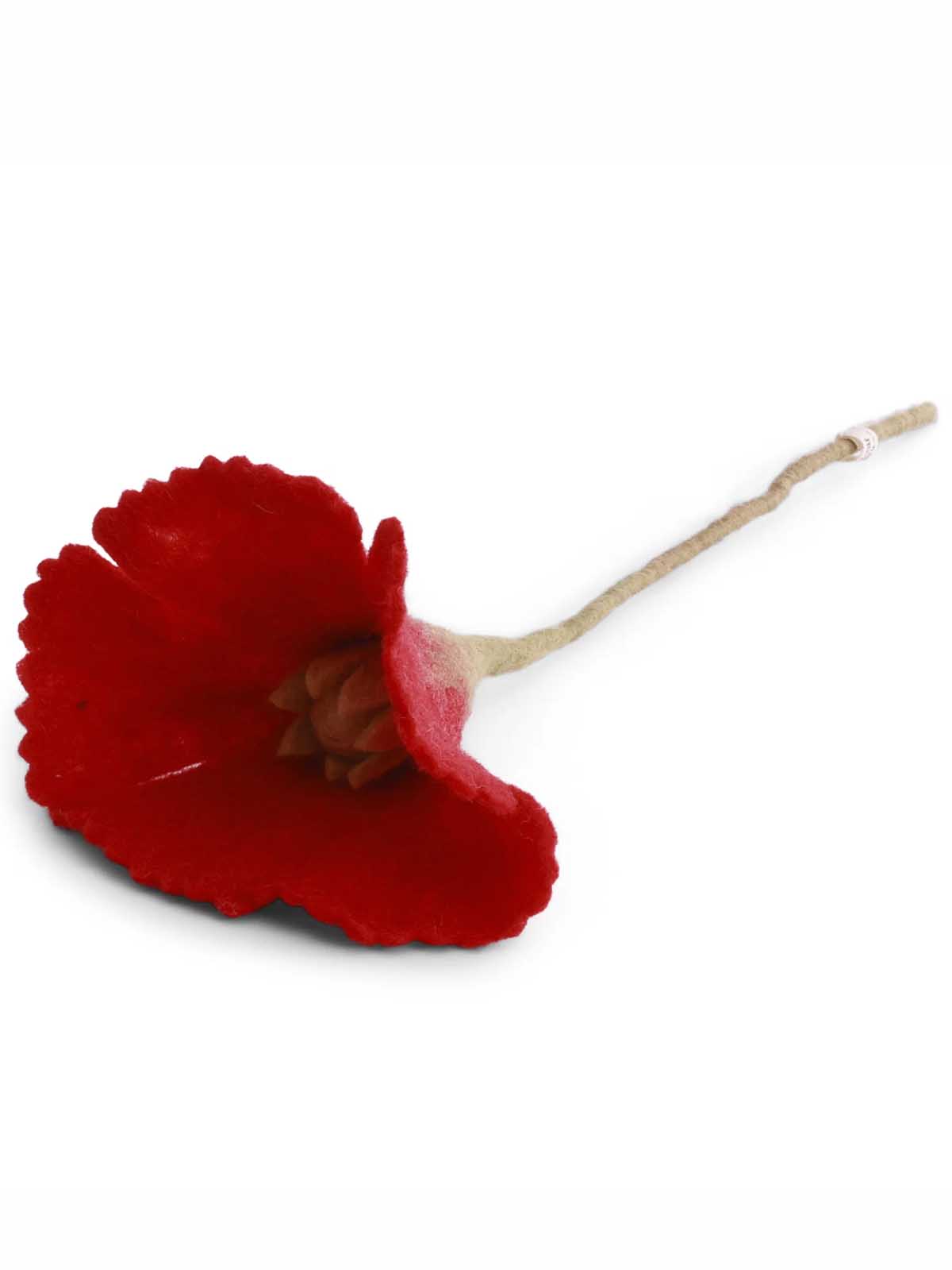Filzmohn (34 cm) - Rot