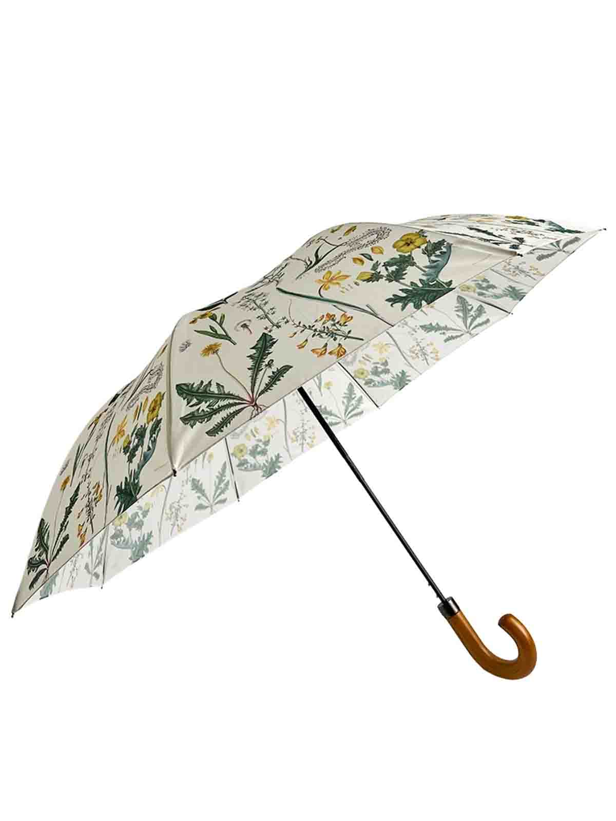 Alternative Ansicht von Regenschirm - Gelbe Flora danica