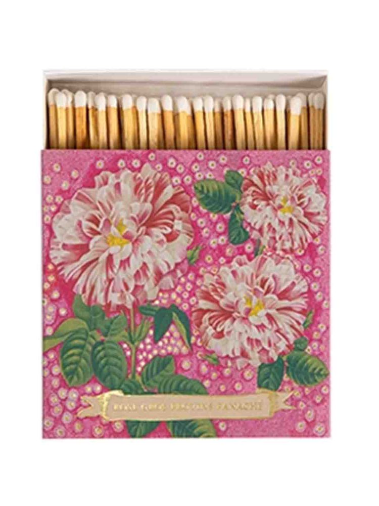 Archivisten-Matches - Rose Provin Petunia