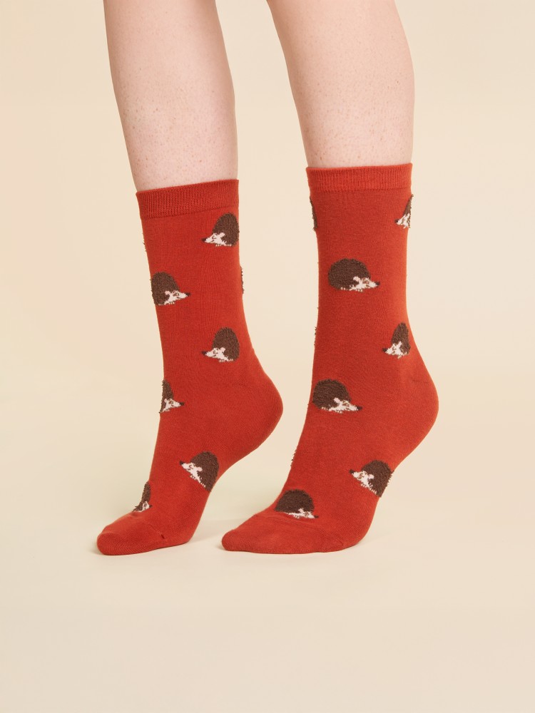 Socken - Teracotta mit Igel