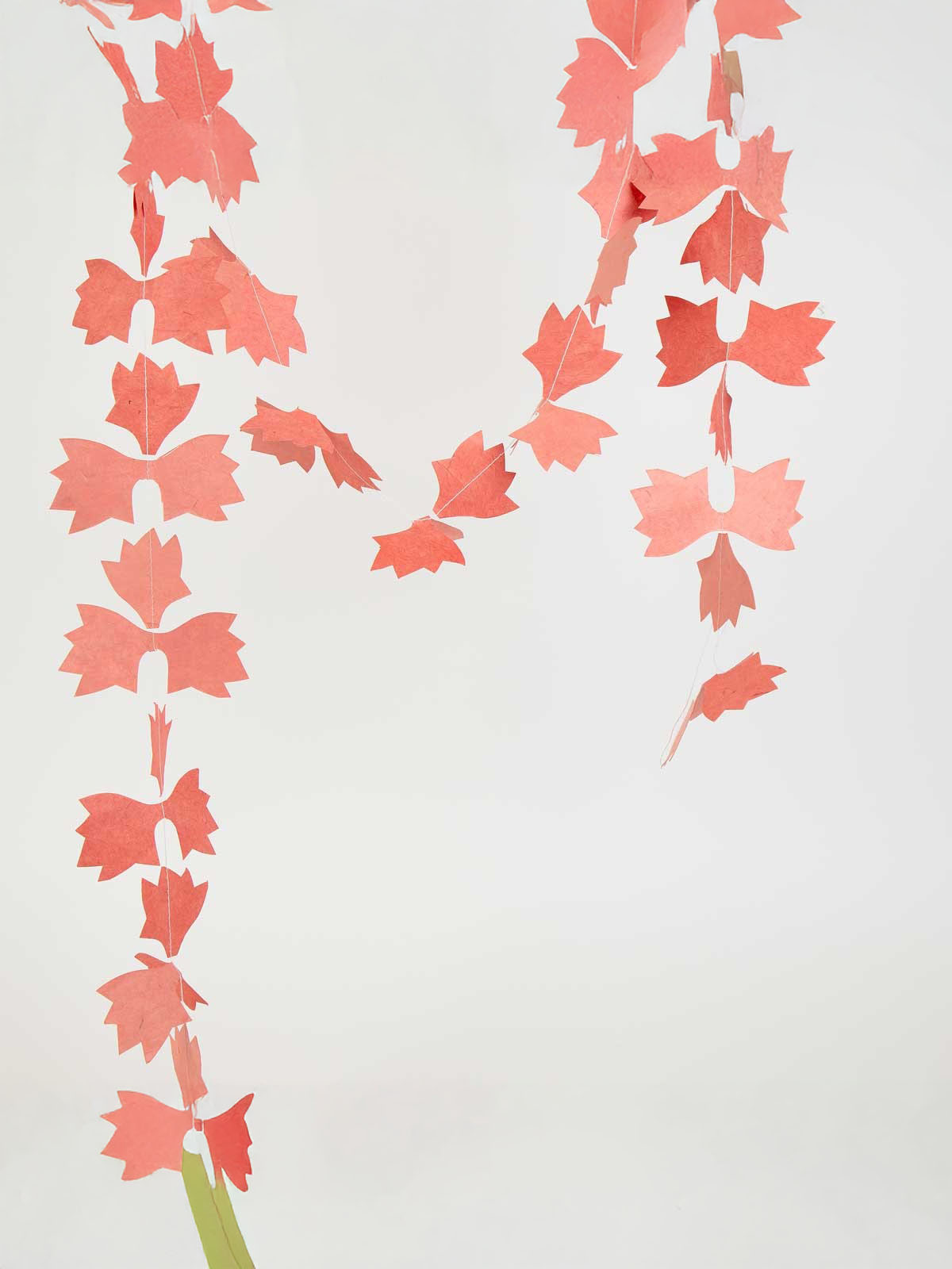 Vorhänge mit Papier - Ahorn