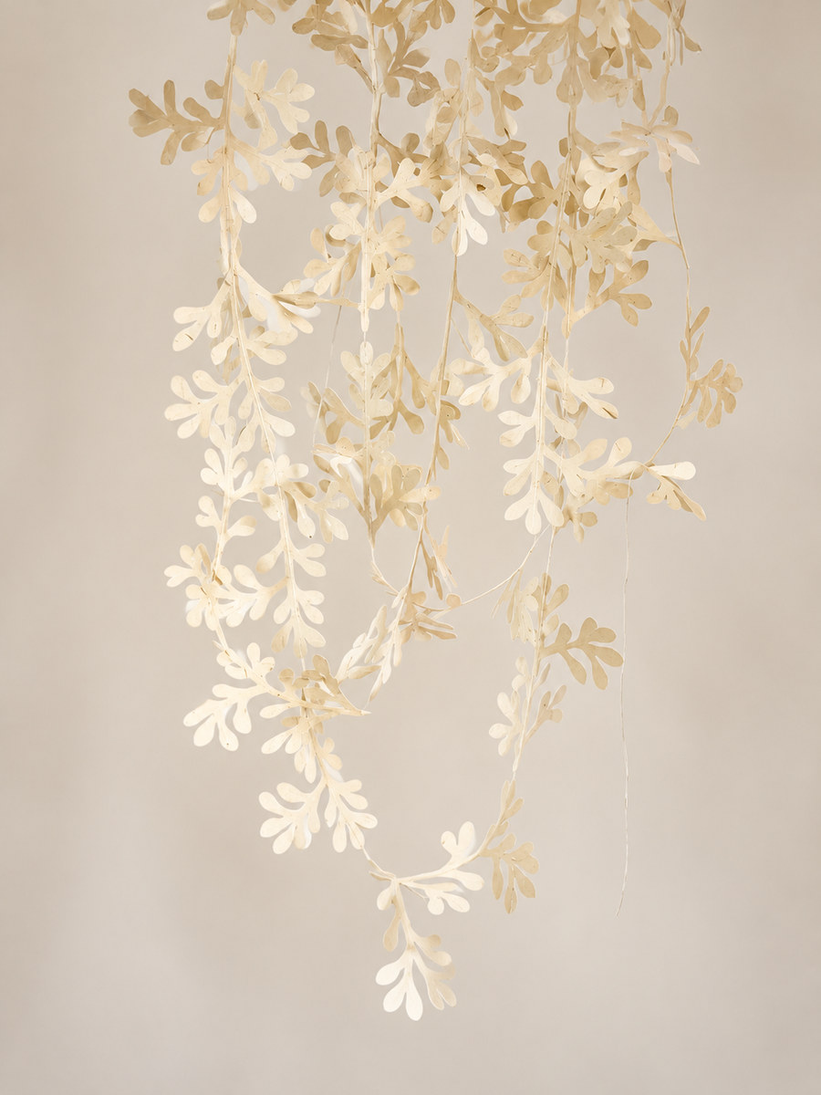 Führungen mit Papier – 300 cm – Laub